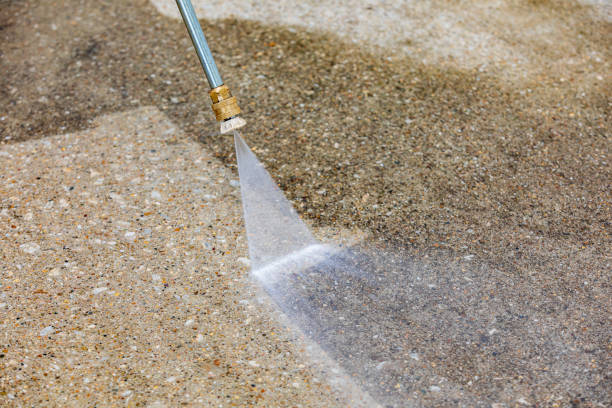 Best Animal Enclosure Cleaning  in Boulder Hl, IL